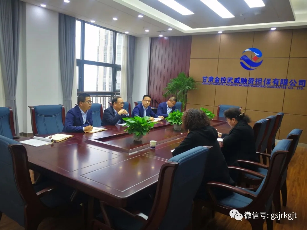 筑牢風控底線 推動風險化解金控武威擔保開展融資項目“回頭看”